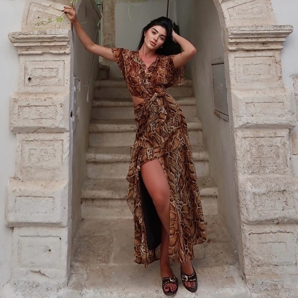 Zara Dresses & Skirts - Zara maxi dress leopard animal print mesh ruffled boho cheetah casual summer
